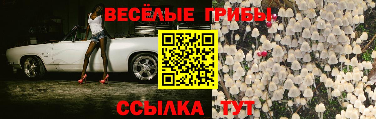 Галлюциногенные грибы GOLDEN TEACHER  Вход с VPN  Туймазы 